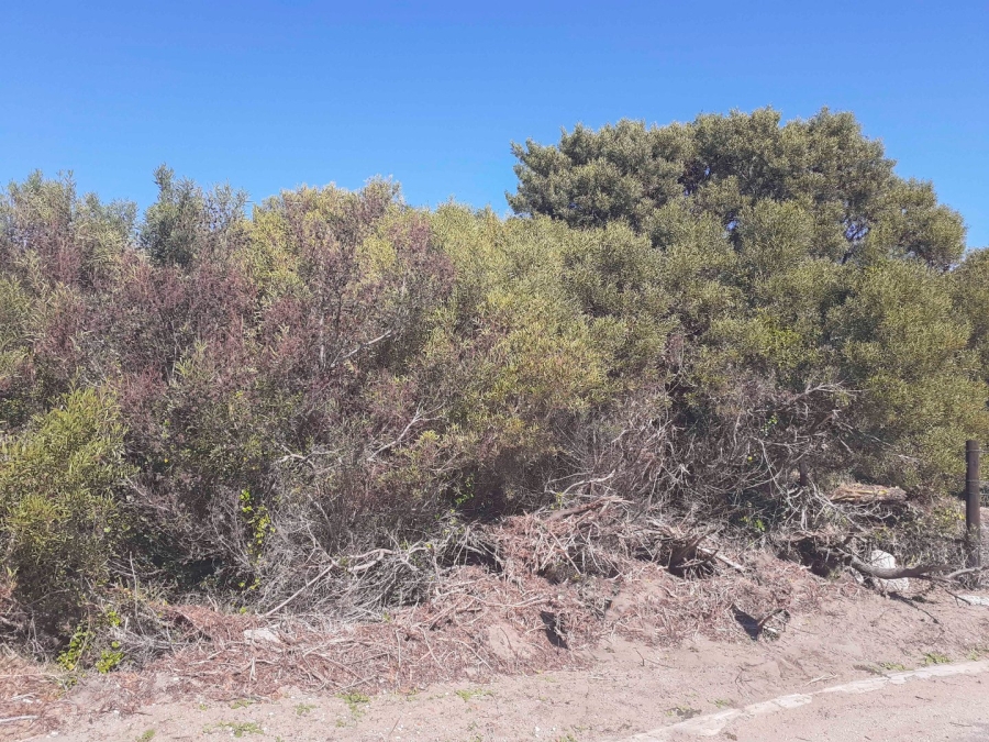 Commercial Property for Sale in Paradise Beach Eastern Cape